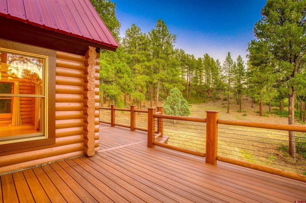 704 Two Bear Drive Pagosa Springs CO 81147