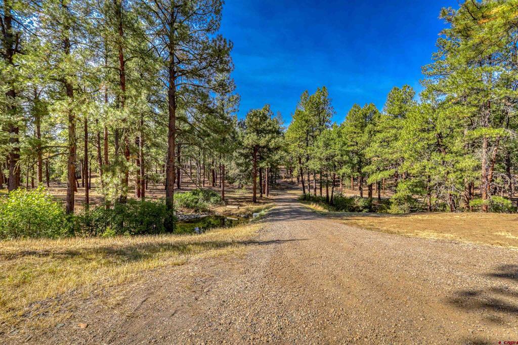 704 Two Bear Drive Pagosa Springs CO 81147