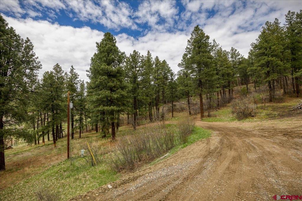 144 Blue Creek Road Pagosa Springs CO 81147