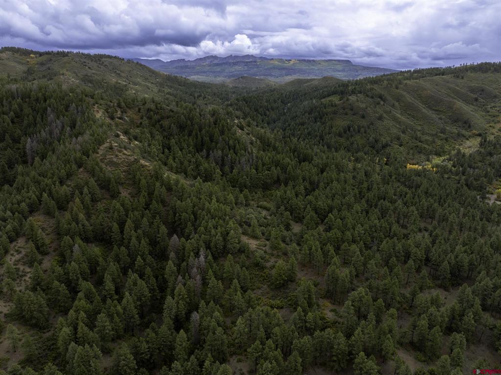 144 Blue Creek Road Pagosa Springs CO 81147
