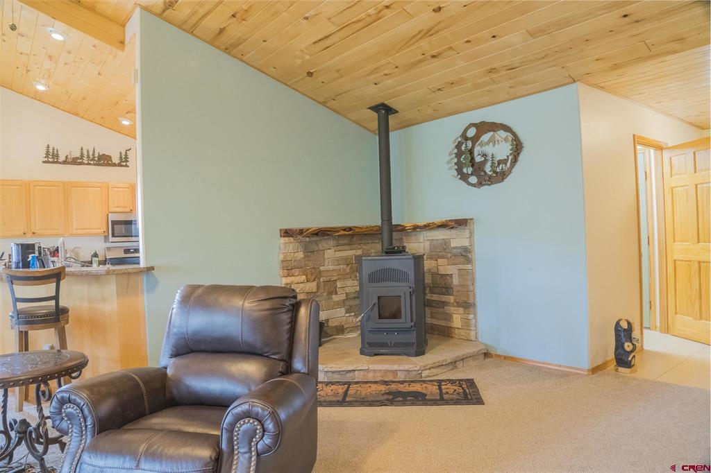 152 Saturn Drive Pagosa Springs CO 81147
