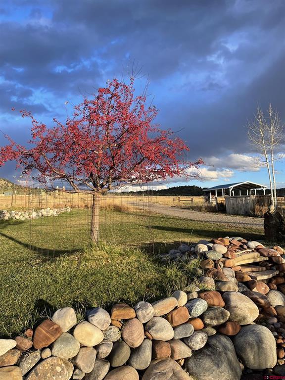 205 Toad Road Durango CO 81301