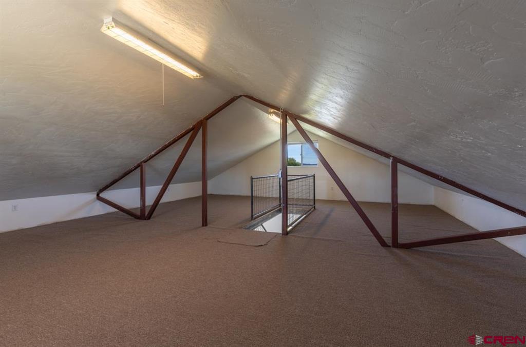 205 Toad Road Durango CO 81301