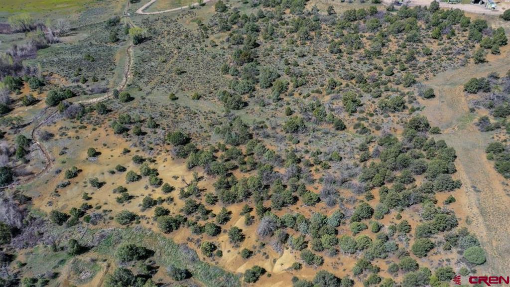 205 Toad Road Durango CO 81301