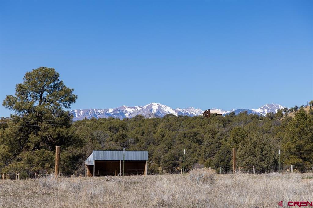 205 Toad Road Durango CO 81301