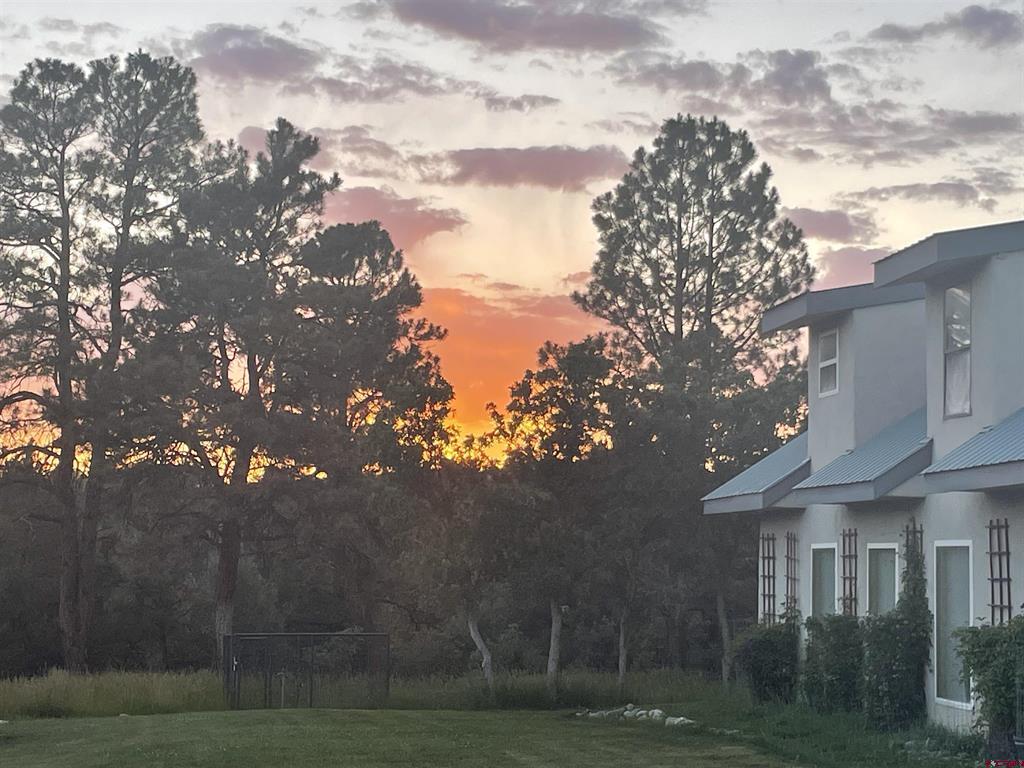 205 Toad Road Durango CO 81301