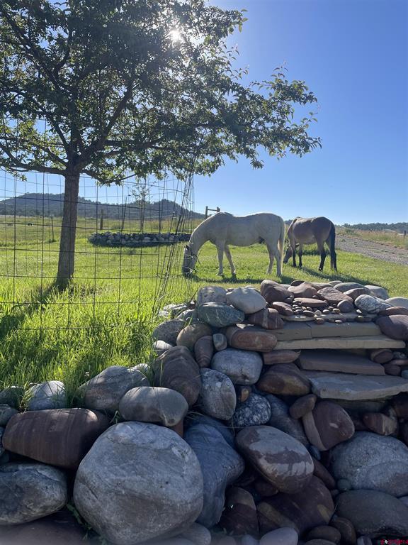 205 Toad Road Durango CO 81301