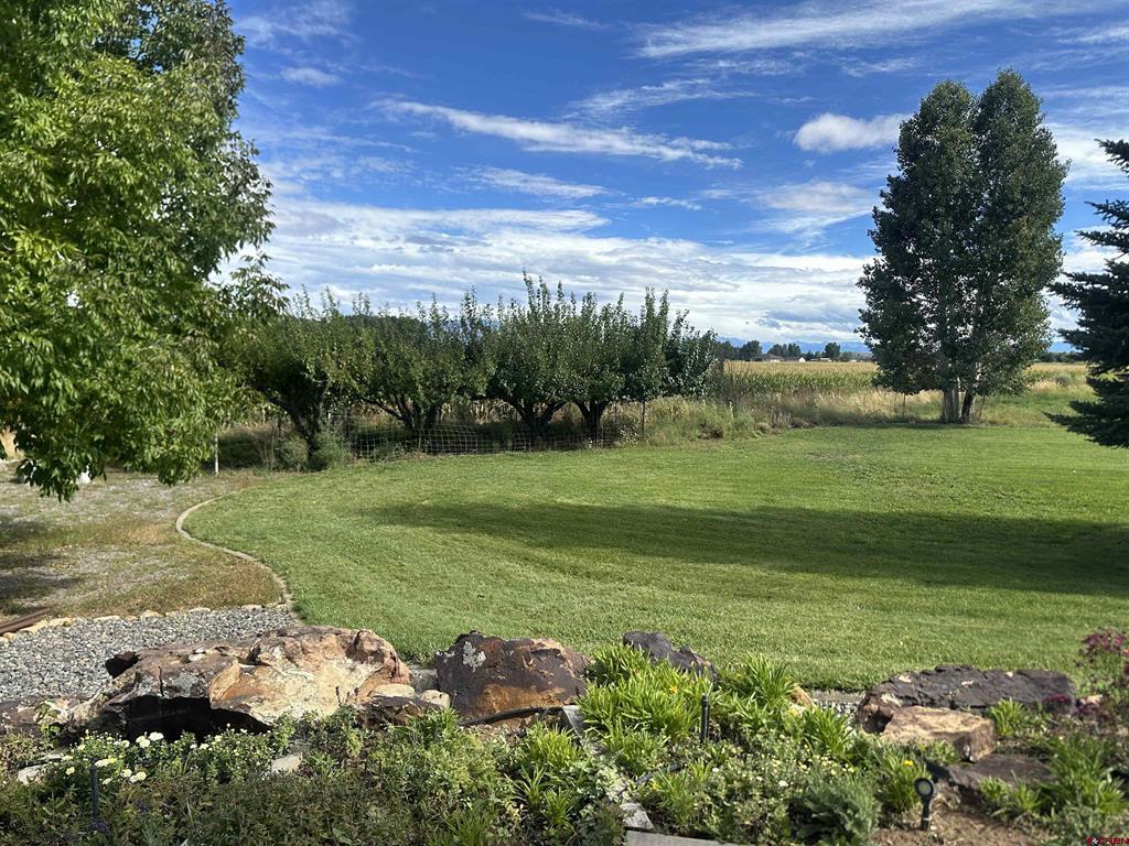 15090 6050 Road Montrose CO 81403