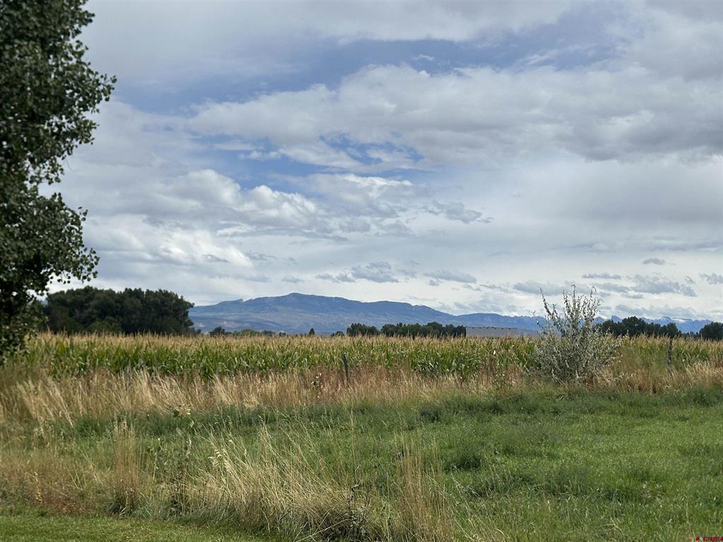 15090 6050 Road Montrose CO 81403