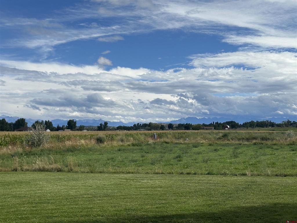 15090 6050 Road Montrose CO 81403