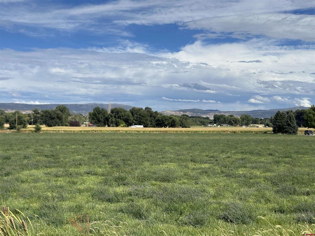 15090 6050 Road Montrose CO 81403