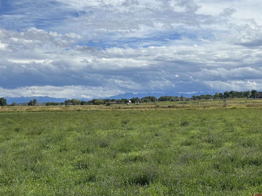 15090 6050 Road Montrose CO 81403