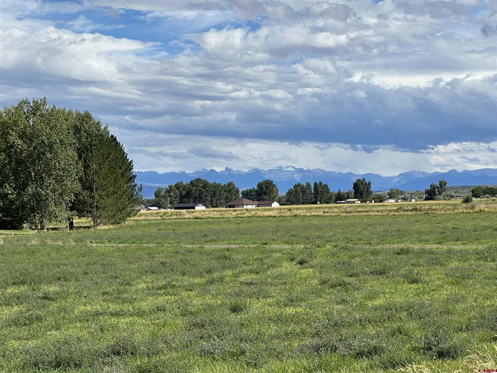 15090 6050 Road Montrose CO 81403