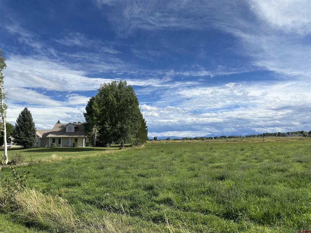 15090 6050 Road Montrose CO 81403