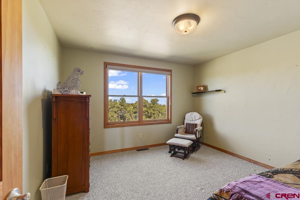 61651 V61 Trail Montrose CO 81403