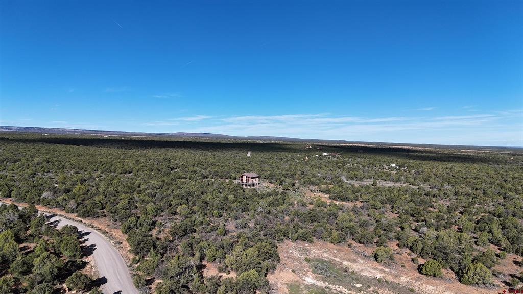 61651 V61 Trail Montrose CO 81403