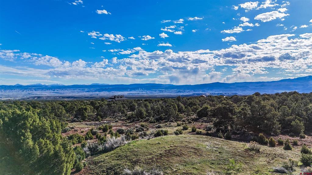 61651 V61 Trail Montrose CO 81403