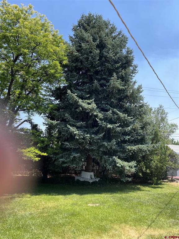 107 Akard Avenue Montrose CO 81401