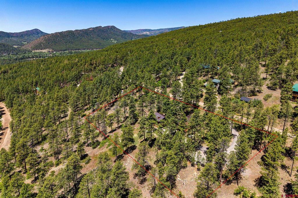 1024 Deer Ridge Drive Bayfield CO 81122