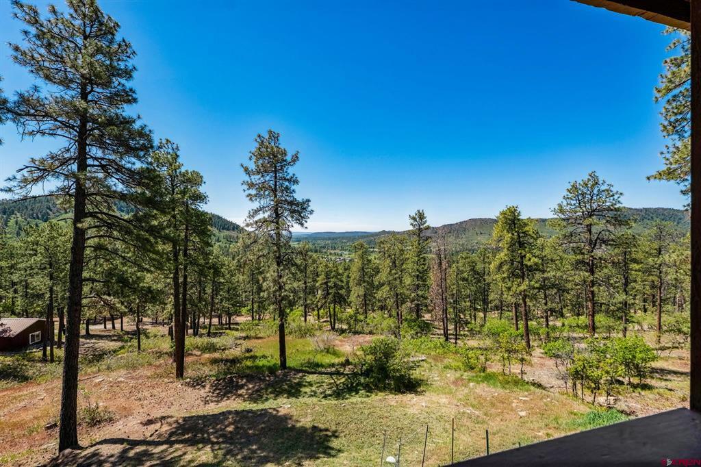 1024 Deer Ridge Drive Bayfield CO 81122