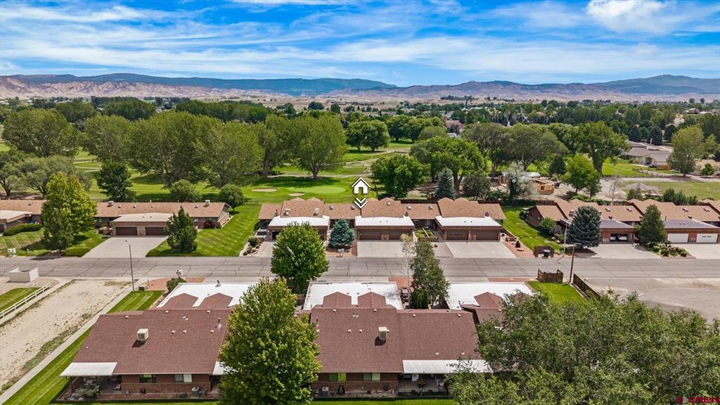 1035 Margo Court Montrose CO 81401