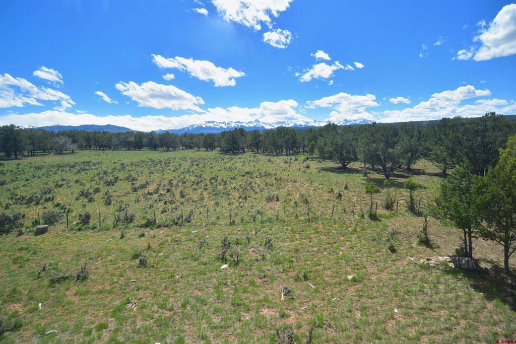 273 Pinion Drive Montrose CO 81403