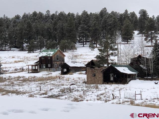276 S 10th Street Pagosa Springs CO 81147