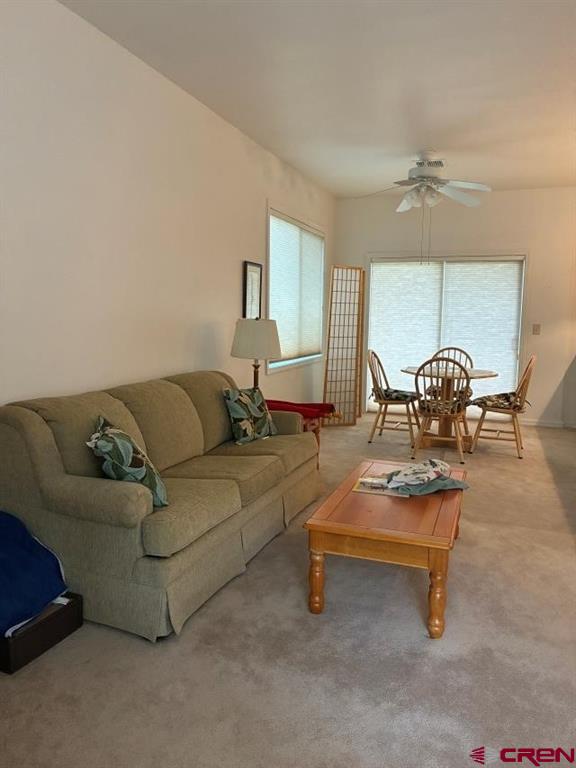 35 Sunshine Court Durango CO 81301