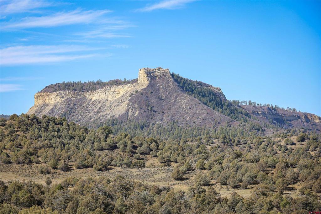 2185 S Rockcliff Circle Pagosa Springs CO 81147