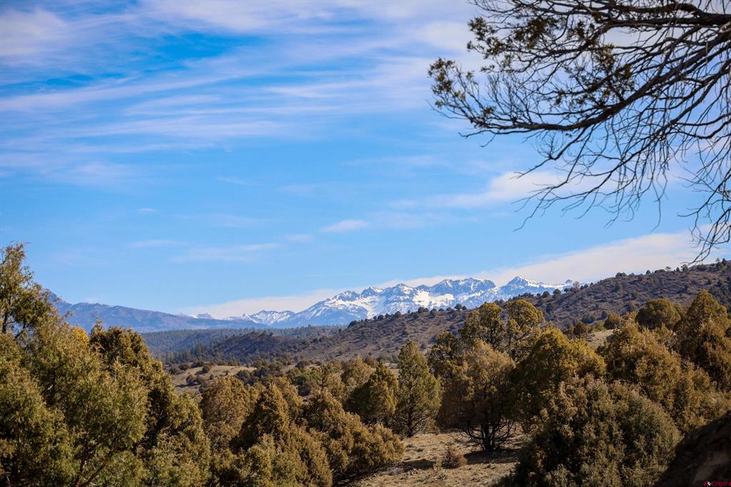 2185 S Rockcliff Circle Pagosa Springs CO 81147