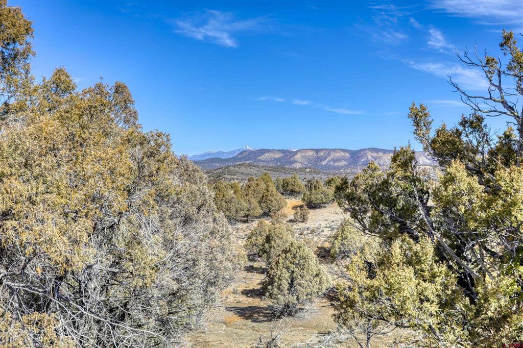 2185 S Rockcliff Circle Pagosa Springs CO 81147