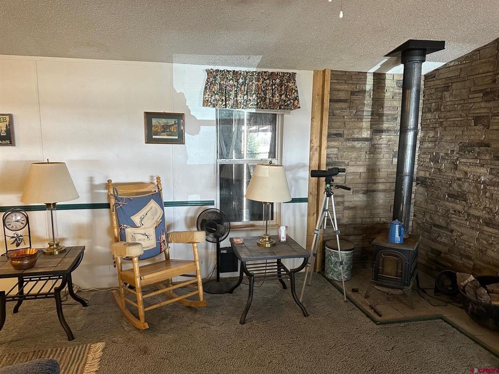 4100 Usfs Road 515 #180 Creede CO 81130