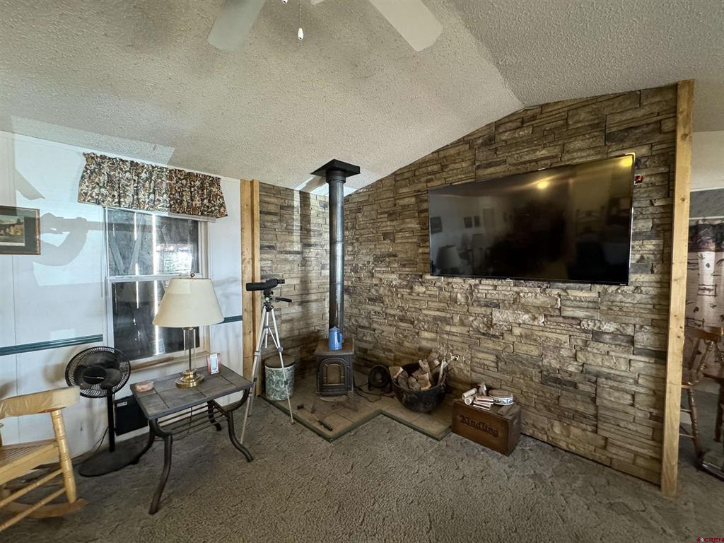 4100 Usfs Road 515 #180 Creede CO 81130