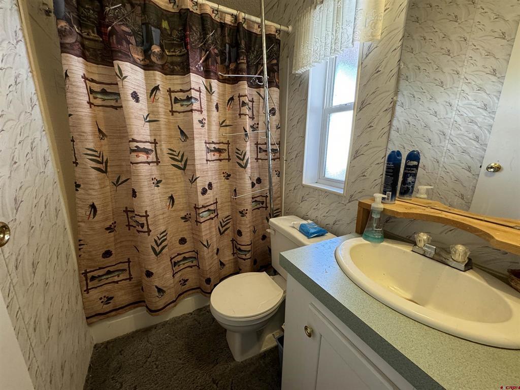 4100 Usfs Road 515 #180 Creede CO 81130