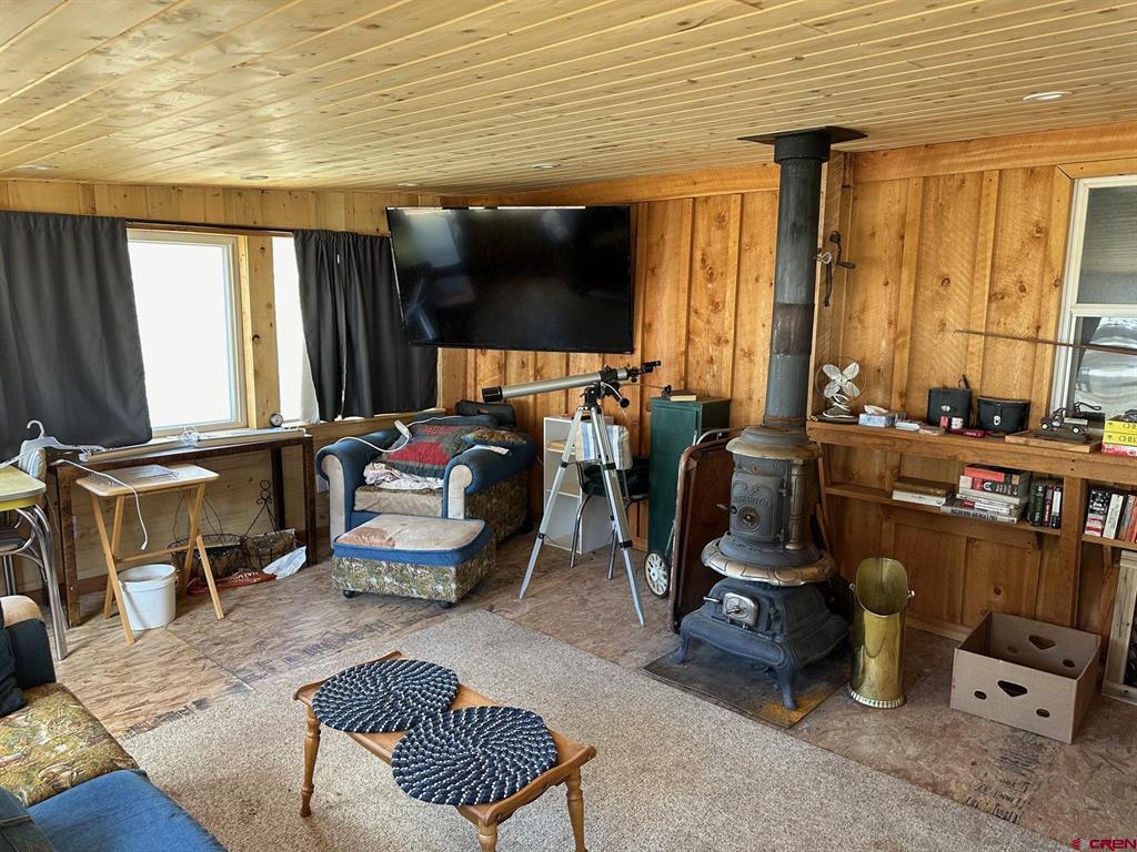 4100 Usfs Road 515 #180 Creede CO 81130