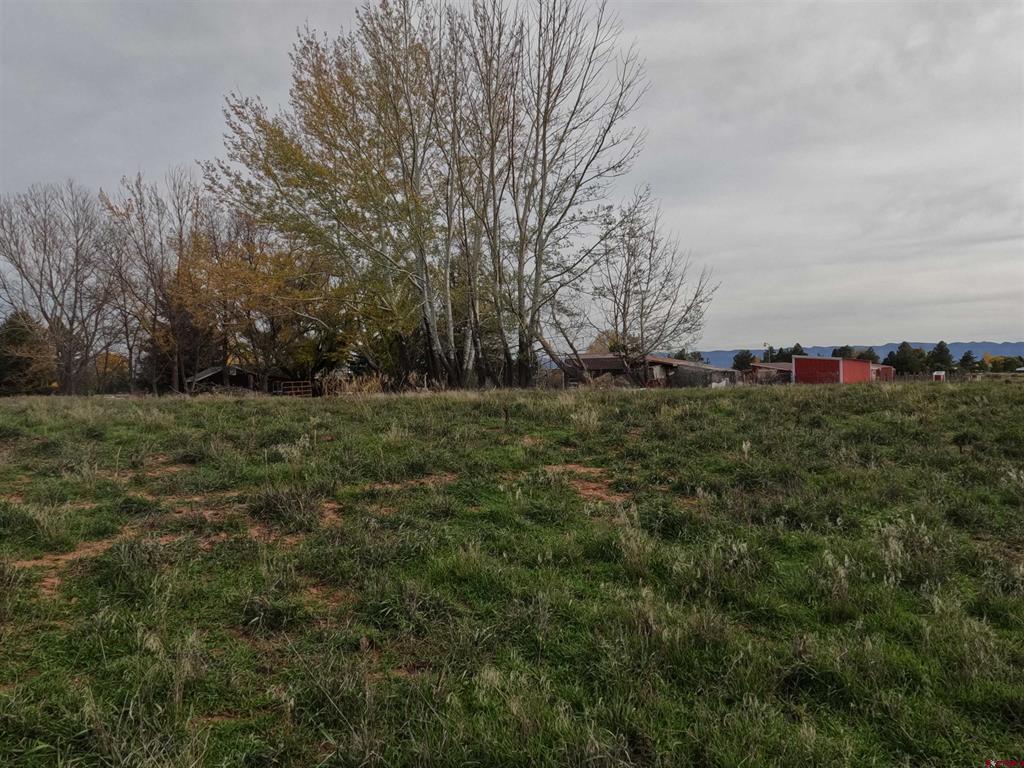 20277 Road S.7 Cortez CO 81321