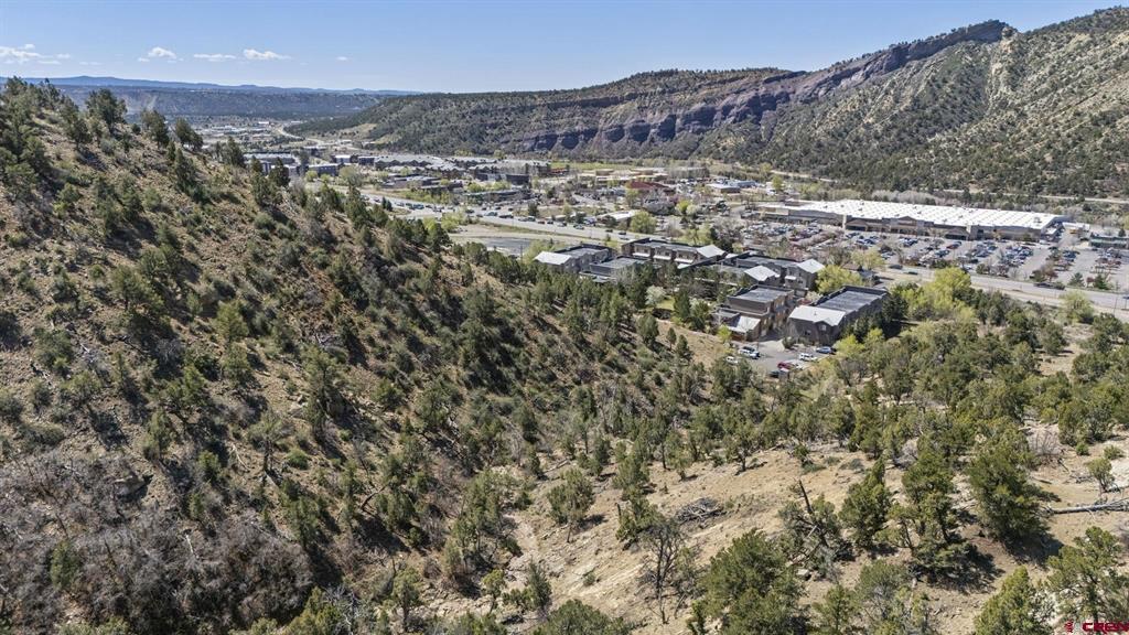 1140 Carbon Junction Durango CO 81301