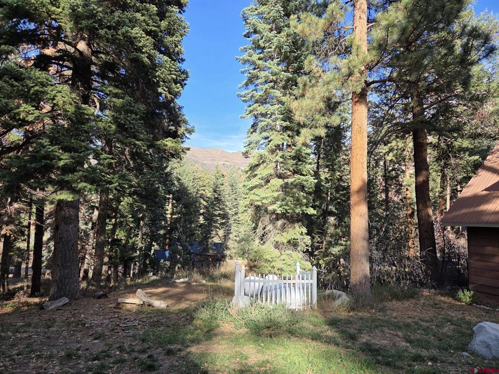 157 Whispering Pines Drive Ouray CO 81427