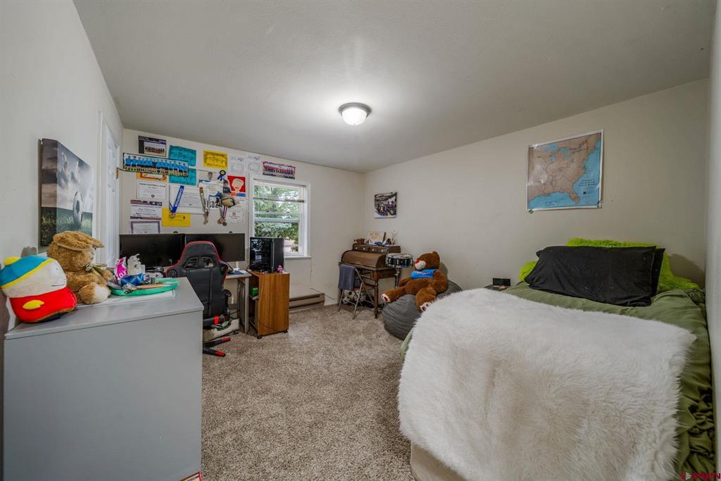 779 E Elm Circle Bayfield CO 81122