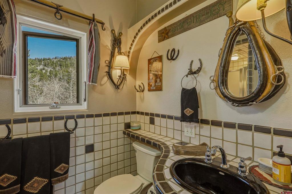 258 N Skyline Drive South Fork CO 81154