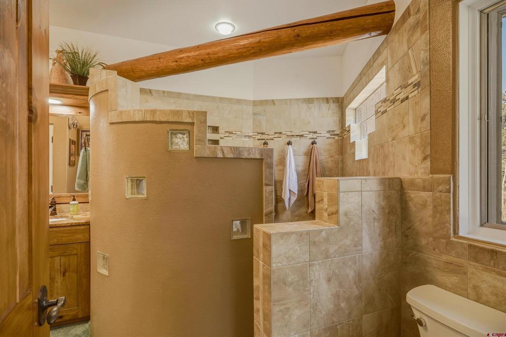 258 N Skyline Drive South Fork CO 81154