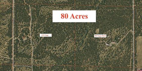 382 Sugar Bush & 1531 Sage Road Montrose CO 81403