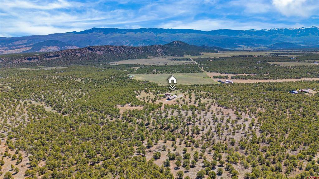 382 Sugar Bush & 1531 Sage Road Montrose CO 81403