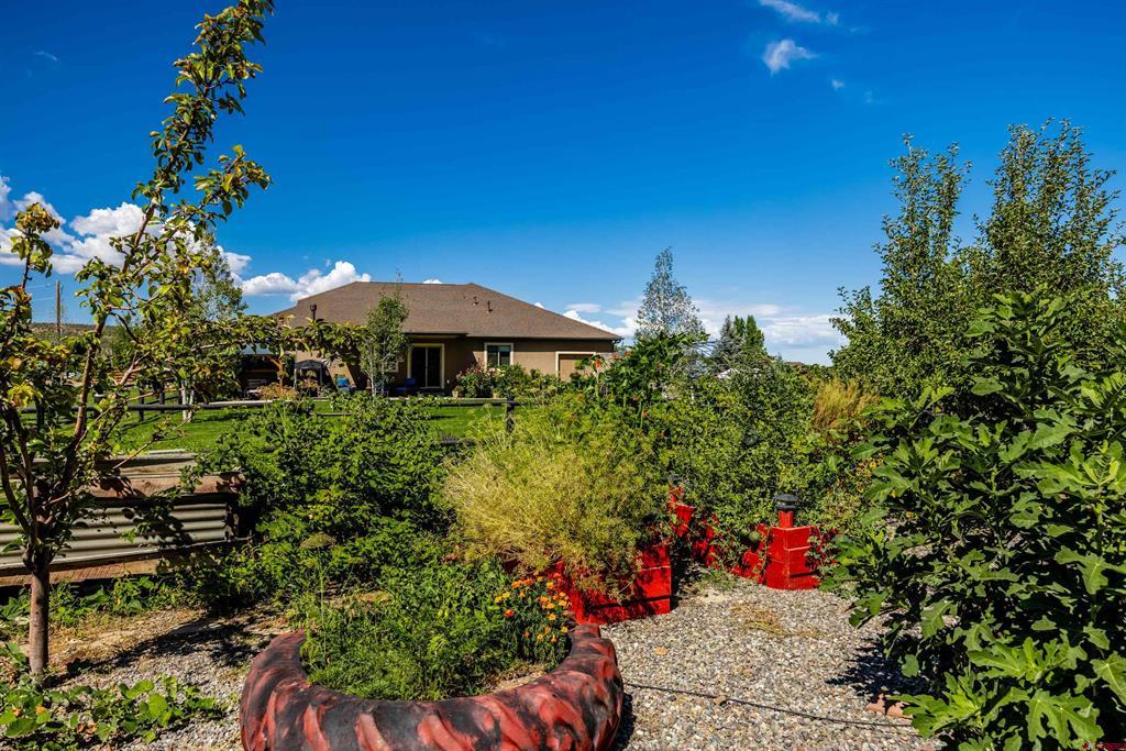20990 Trophy Road Montrose CO 81403