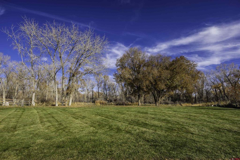 63225 Lavender Circle Montrose CO 81403