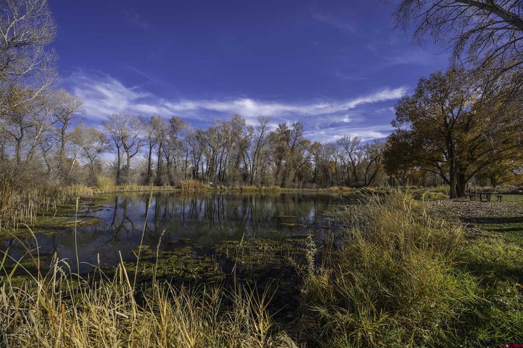 63225 Lavender Circle Montrose CO 81403