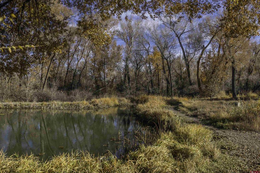 63225 Lavender Circle Montrose CO 81403