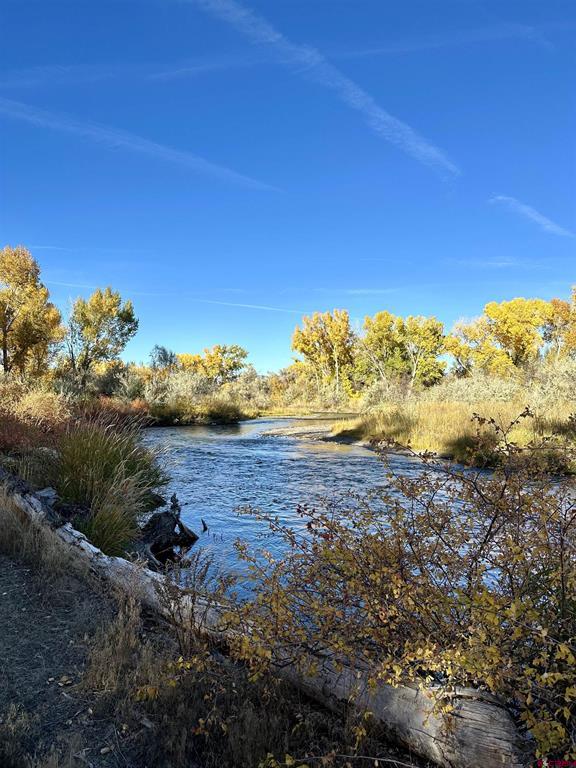 63225 Lavender Circle Montrose CO 81403