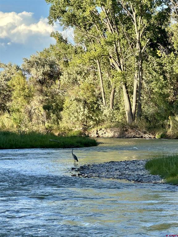 63225 Lavender Circle Montrose CO 81403