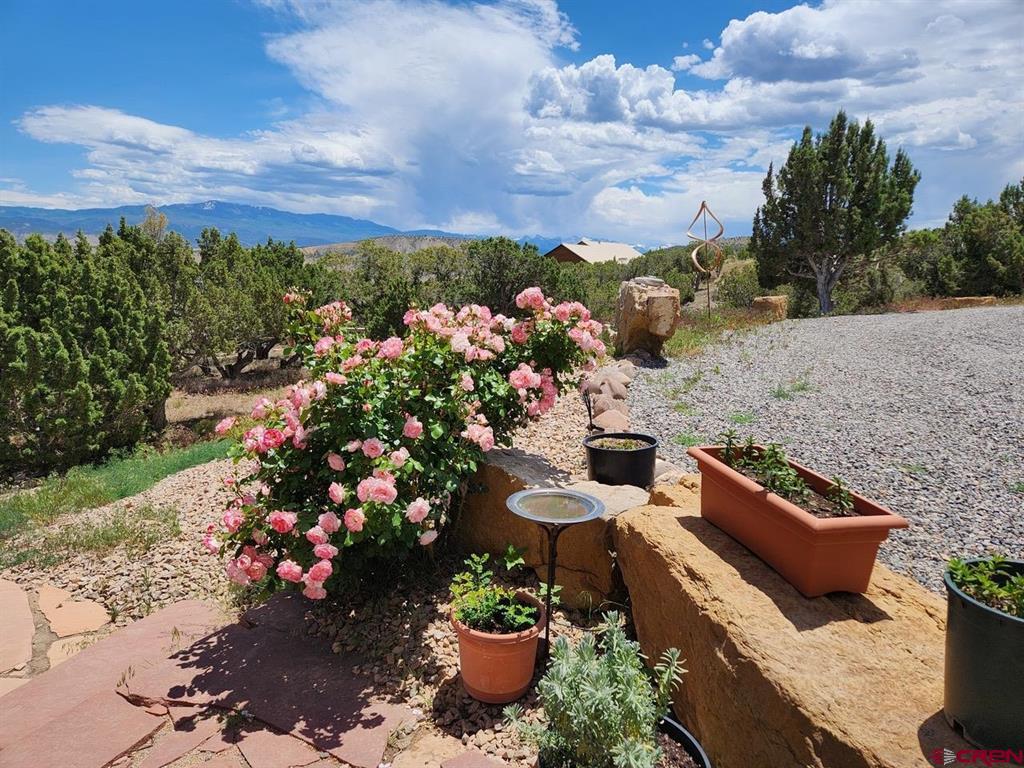 20891 Solitude Road Montrose CO 81403